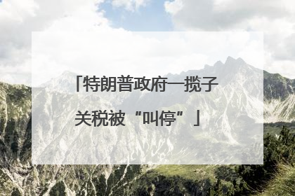 特朗普政府一揽子关税被“叫停”