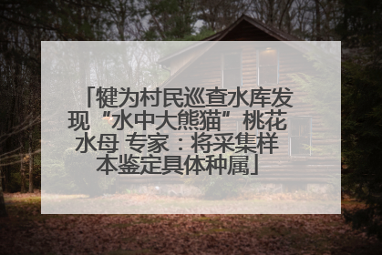 犍为村民巡查水库发现“水中大熊猫”桃花水母 专家：将采集样本鉴定具体种属