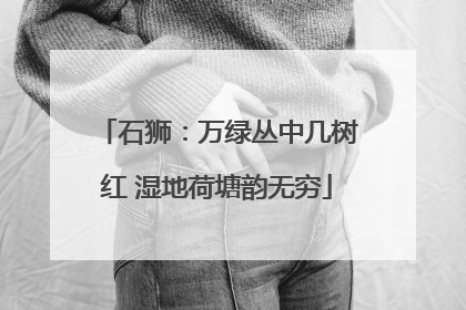 石狮：万绿丛中几树红 湿地荷塘韵无穷
