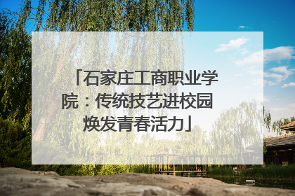 石家庄工商职业学院：传统技艺进校园焕发青春活力