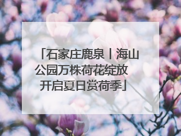 石家庄鹿泉丨海山公园万株荷花绽放 开启夏日赏荷季