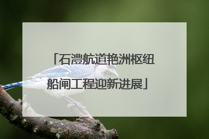 石澧航道艳洲枢纽船闸工程迎新进展