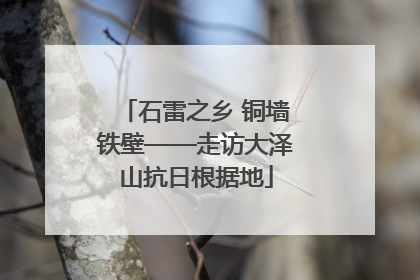 石雷之乡 铜墙铁壁——走访大泽山抗日根据地