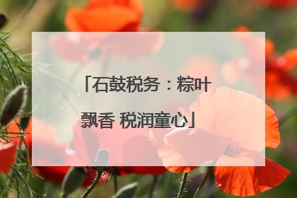 石鼓税务：粽叶飘香 税润童心