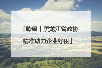瞭望丨黑龙江省政协精准助力企业纾困