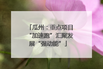 瓜州：重点项目“加速跑”汇聚发展“强动能”