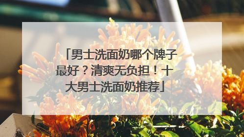 男士洗面奶哪个牌子最好？清爽无负担！十大男士洗面奶推荐