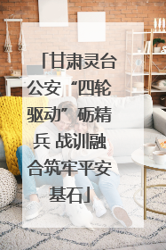 甘肃灵台公安“四轮驱动”砺精兵 战训融合筑牢平安基石