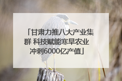 甘肃力推八大产业集群 科技赋能寒旱农业冲刺6000亿产值