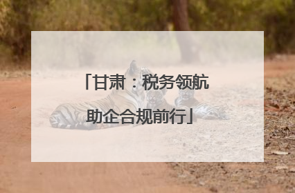甘肃：税务领航 助企合规前行