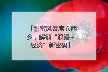 甜蜜风暴席卷西乡，解锁“浪漫+经济”新密码