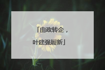 由政转企，叶建强履新