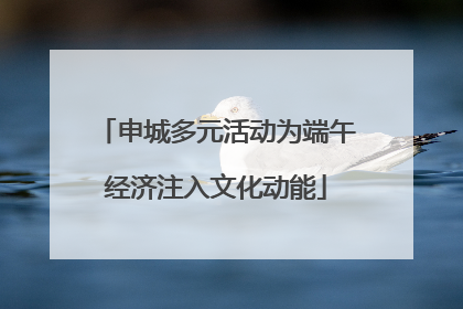 申城多元活动为端午经济注入文化动能