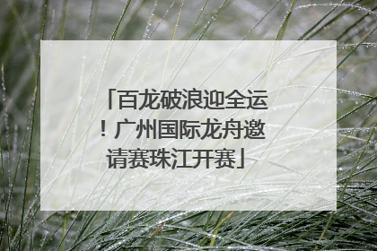 百龙破浪迎全运！广州国际龙舟邀请赛珠江开赛