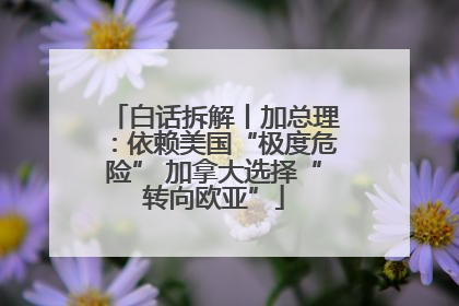白话拆解丨加总理：依赖美国“极度危险” 加拿大选择“转向欧亚”