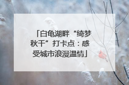 白龟湖畔“绮梦秋千”打卡点：感受城市浪漫温情