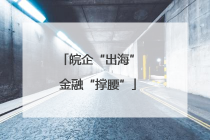 皖企“出海” 金融“撑腰”