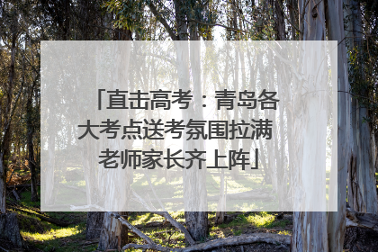 直击高考：青岛各大考点送考氛围拉满 老师家长齐上阵