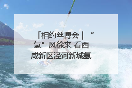 相约丝博会｜“氢”风徐来 看西咸新区泾河新城氢能产业聚链成势