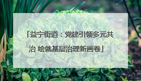 益宁街道：党建引领多元共治 绘就基层治理新画卷