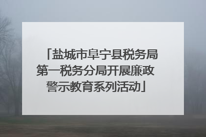 盐城市阜宁县税务局第一税务分局开展廉政警示教育系列活动