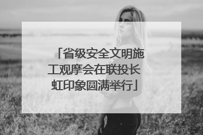 省级安全文明施工观摩会在联投长虹印象圆满举行
