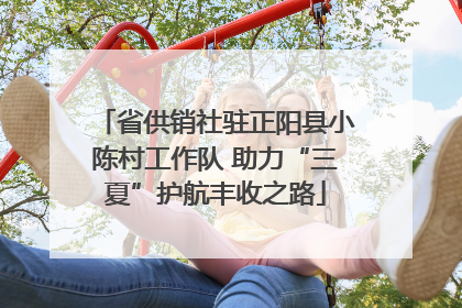 省供销社驻正阳县小陈村工作队 助力“三夏”护航丰收之路
