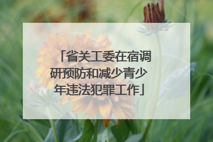 省关工委在宿调研预防和减少青少年违法犯罪工作