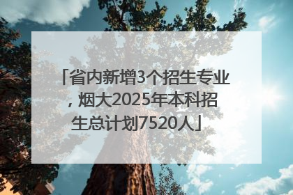 省内新增3个招生专业，烟大2025年本科招生总计划7520人