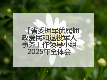 省委拥军优属拥政爱民和退役军人事务工作领导小组2025年全体会议召开