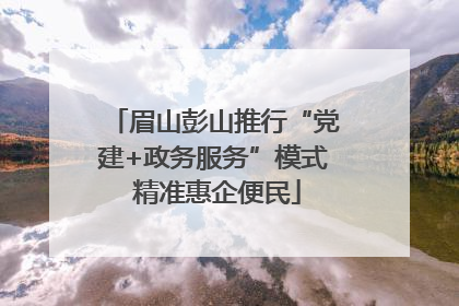 眉山彭山推行“党建+政务服务”模式 精准惠企便民