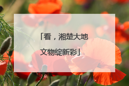 看，湘楚大地文物绽新彩