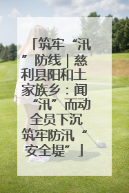 筑牢“汛”防线｜慈利县阳和土家族乡：闻“汛”而动 全员下沉筑牢防汛“安全堤”