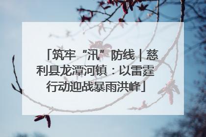 筑牢“汛”防线｜慈利县龙潭河镇：以雷霆行动迎战暴雨洪峰