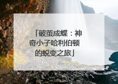 破茧成蝶：神奇小子哈利伯顿的蜕变之旅