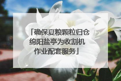 确保夏粮颗粒归仓 绵阳盐亭为收割机作业配套服务