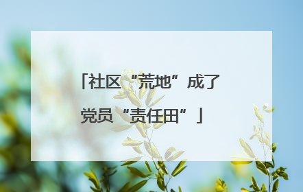社区“荒地”成了党员“责任田”