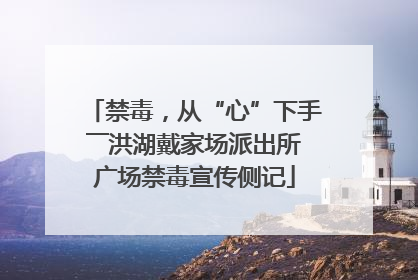 禁毒，从“心”下手――洪湖戴家场派出所广场禁毒宣传侧记