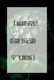 福建省纪委副书记游宇飞履新