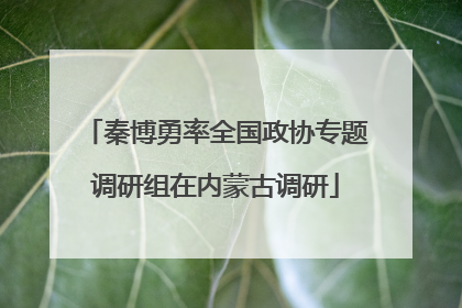 秦博勇率全国政协专题调研组在内蒙古调研