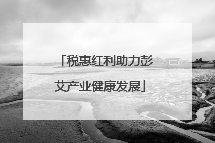 税惠红利助力彭艾产业健康发展