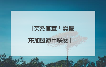 突然官宣！樊振东加盟德甲联赛