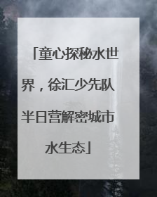 童心探秘水世界，徐汇少先队半日营解密城市水生态
