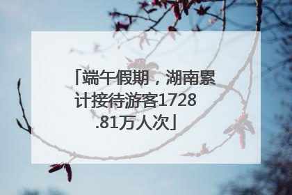 端午假期，湖南累计接待游客1728.81万人次