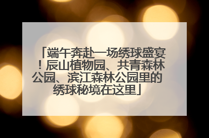 端午奔赴一场绣球盛宴！辰山植物园、共青森林公园、滨江森林公园里的绣球秘境在这里