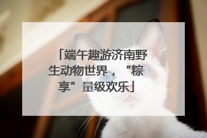 端午趣游济南野生动物世界，“粽享”量级欢乐