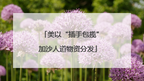 美以“插手包揽”加沙人道物资分发