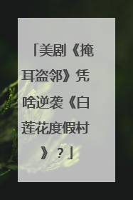 美剧《掩耳盗邻》凭啥逆袭《白莲花度假村》？