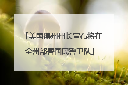 美国得州州长宣布将在全州部署国民警卫队