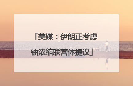 美媒：伊朗正考虑铀浓缩联营体提议